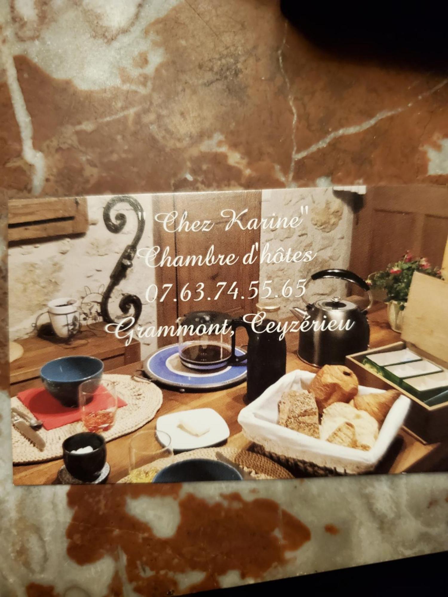 Bed and Breakfast Chez Karine Ceyzerieu Экстерьер фото